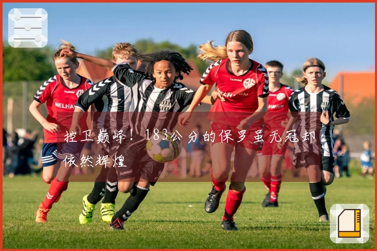 控卫巅峰！183公分的保罗虽无冠却依然辉煌