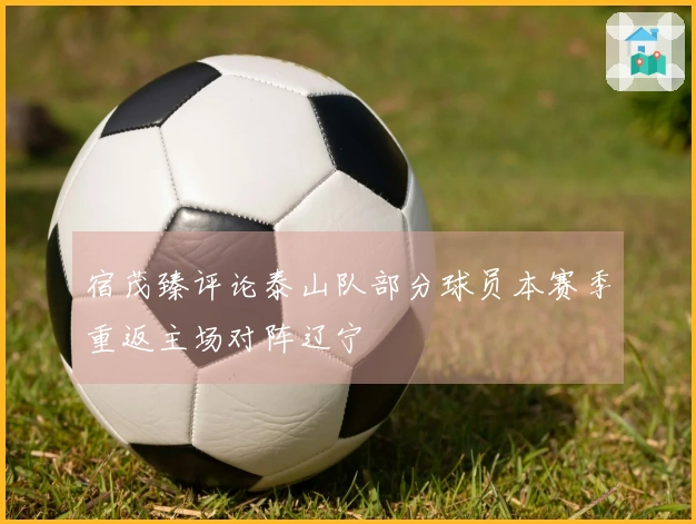 宿茂臻评论泰山队部分球员本赛季重返主场对阵辽宁