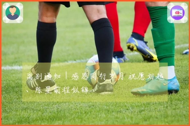 离别通知｜感恩同行岁月 祝愿刘越、陈星前程似锦