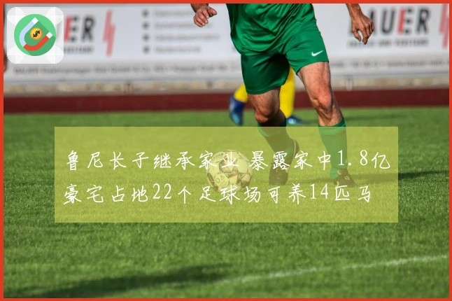 鲁尼长子继承家业 暴露家中1.8亿豪宅占地22个足球场可养14匹马