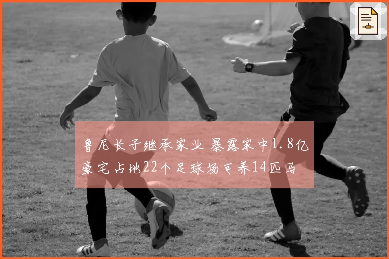 鲁尼长子继承家业 暴露家中1.8亿豪宅占地22个足球场可养14匹马